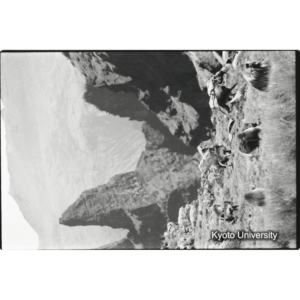 [２２コマ目]「サファの谷（２）」 (1)