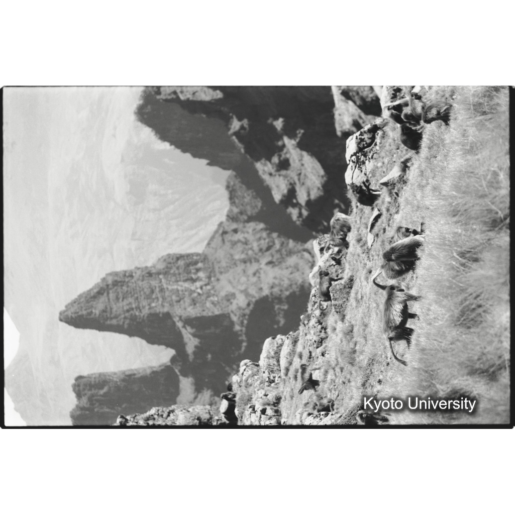 [２３コマ目]「サファの谷（３）」 (1)