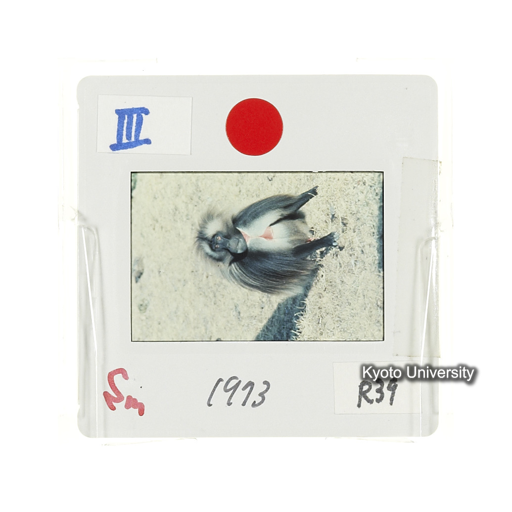 Sm　1973　R39　●[赤色シール] (2)