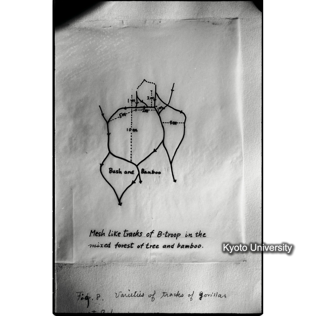 [９コマ目]「資料のまとめ（成果）」 (1)