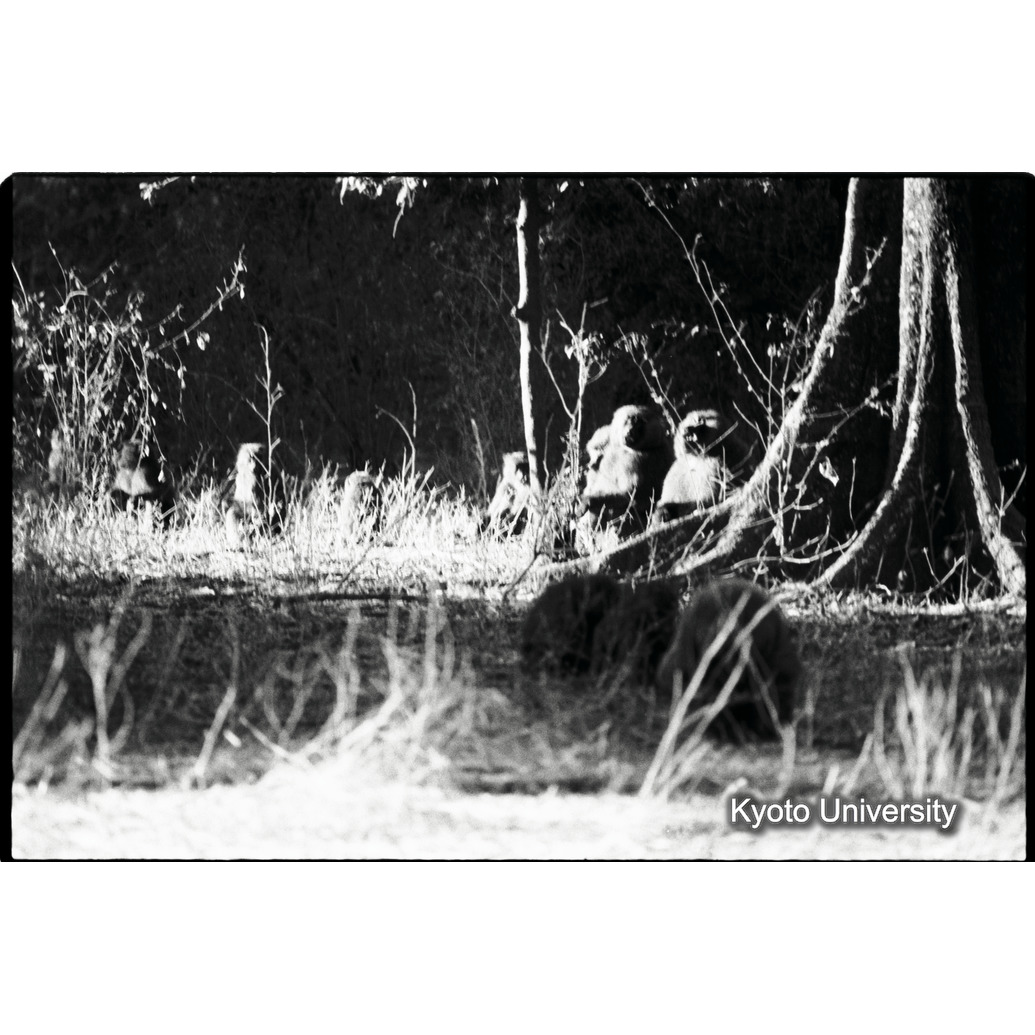 [１９コマ目]「×」 (1)