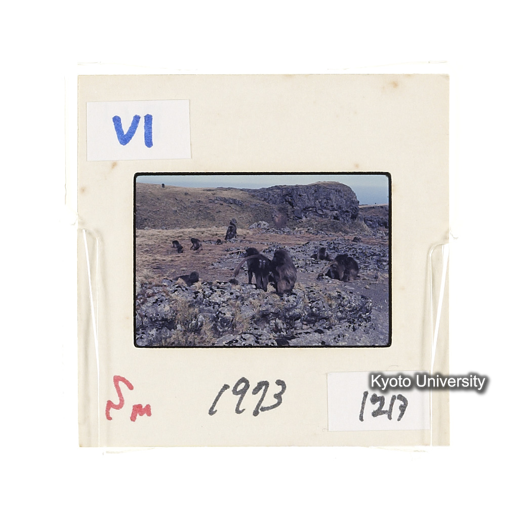 Sm　1973　1213 (2)