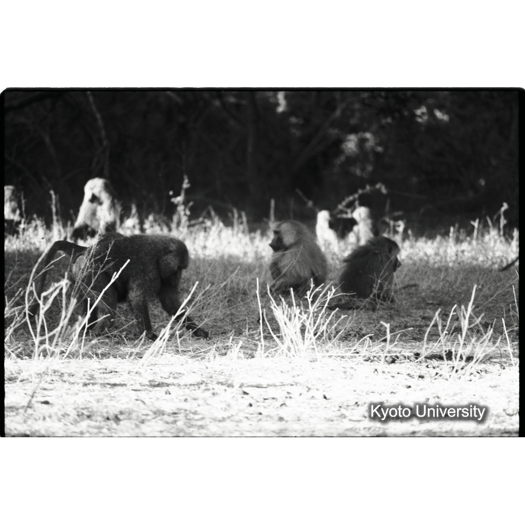 [１６コマ目]「×」 (1)