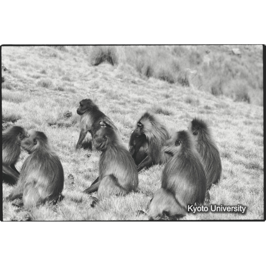 [２４コマ目]「ギラユニット（１）」 (1)