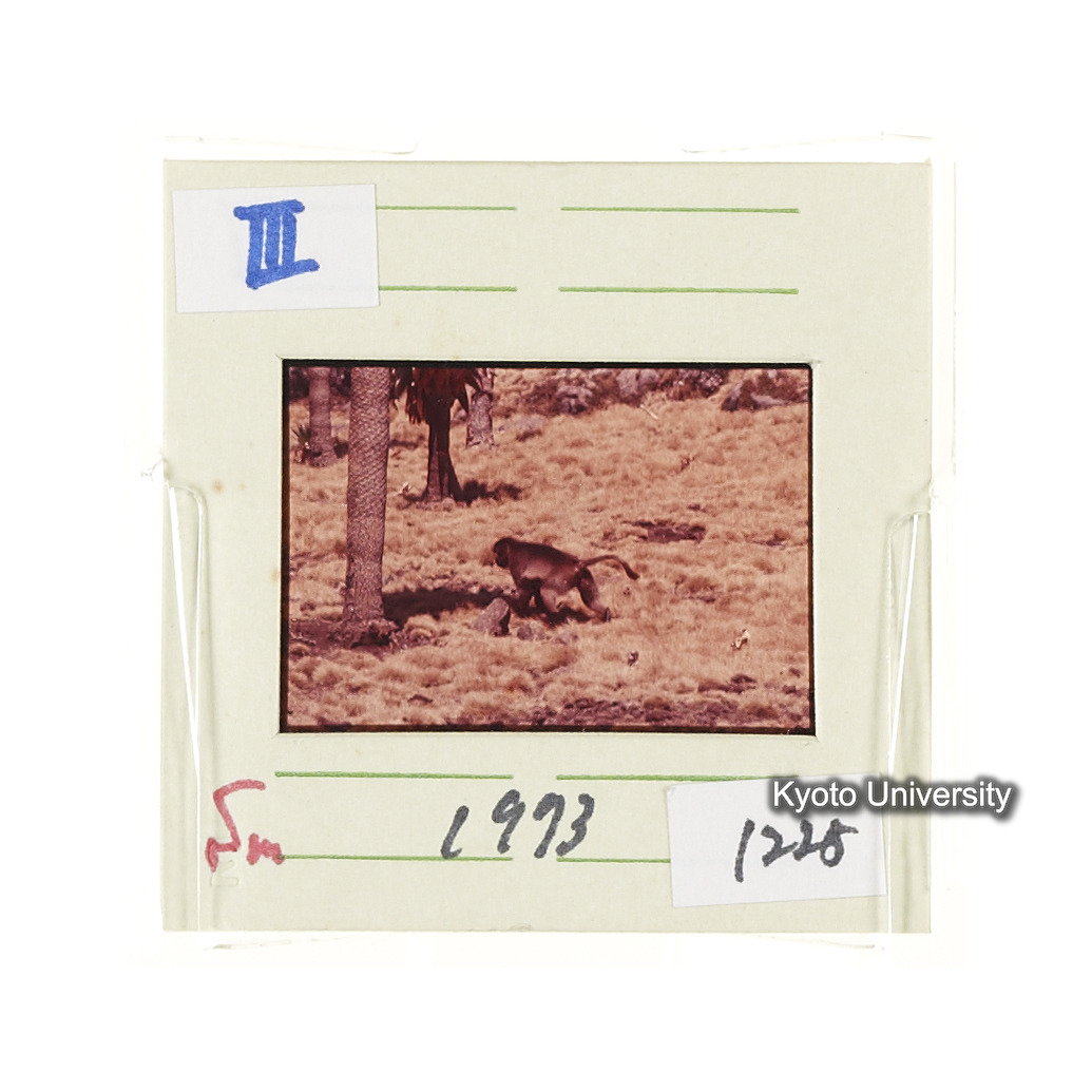 Sm　1973　1225 (2)