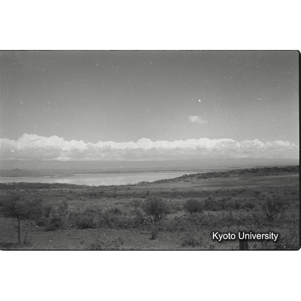 [8コマ目]「ナクル湖遠望」 (1)