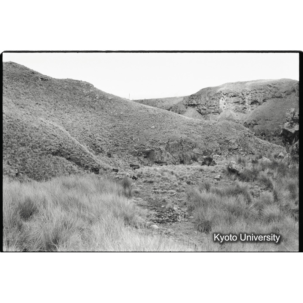 [２６コマ目]「風景（２）」 (1)