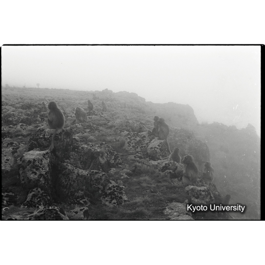 [２５コマ目]「谷から湧き上がる雲」 (1)