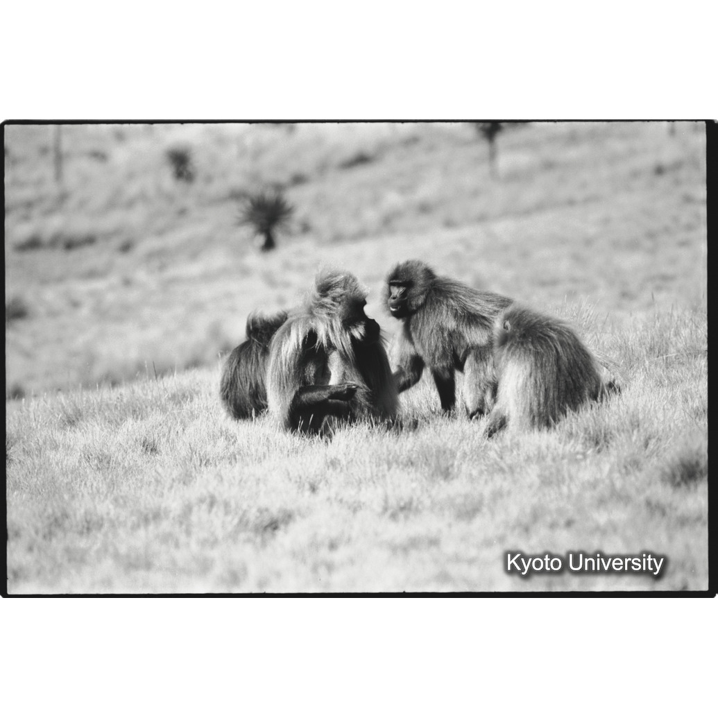 [１９コマ目]「アディスユニット（１）」 (1)