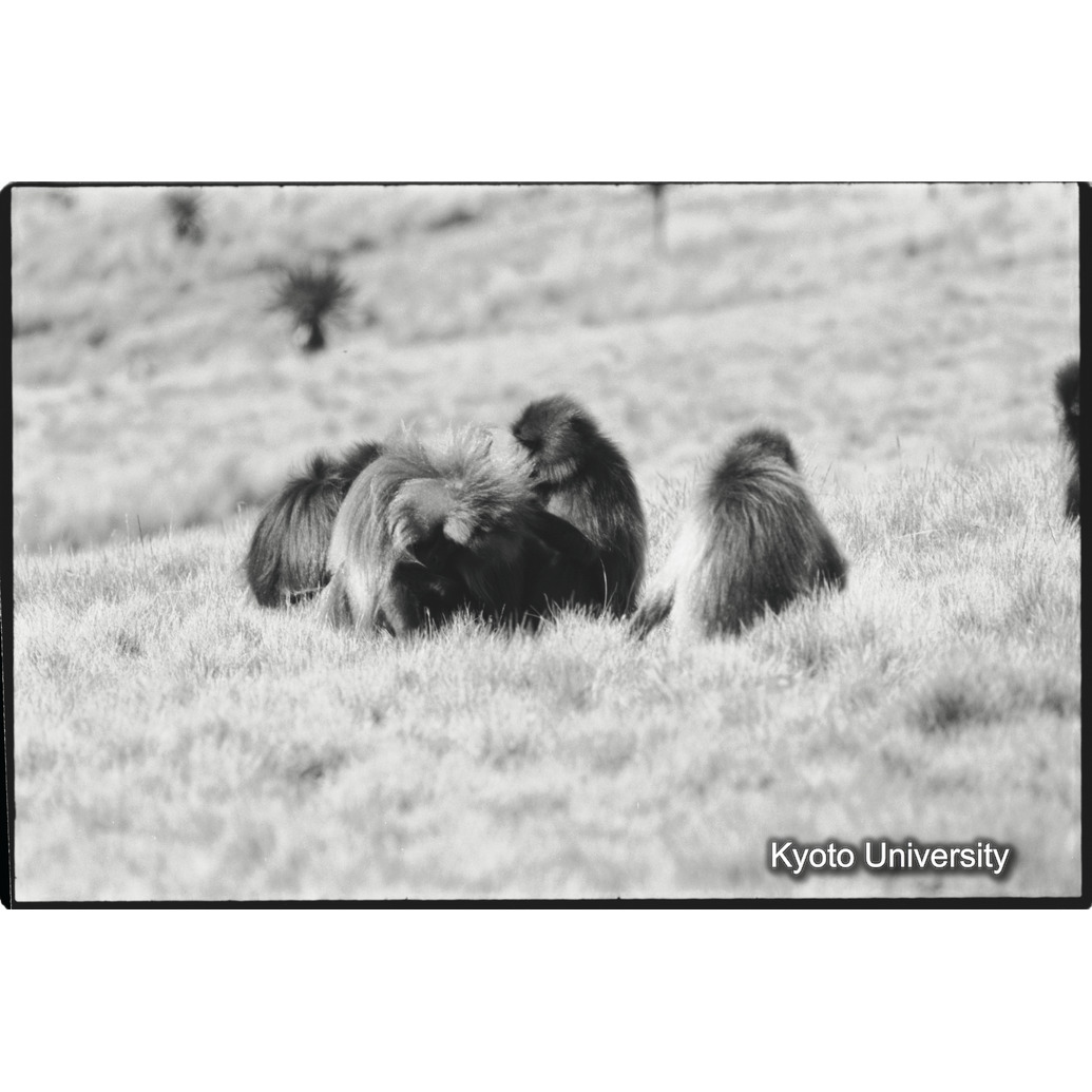 [２１コマ目]「アディスユニット（３）」 (1)