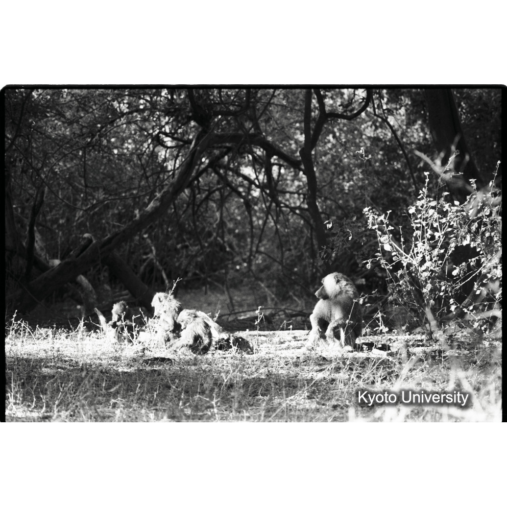 [３７コマ目]「×」 (1)