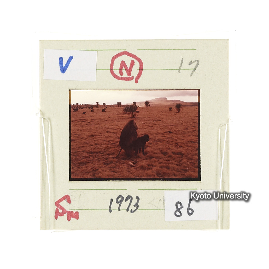 Sm　1973　86　（N）[赤色, 丸囲み] (2)