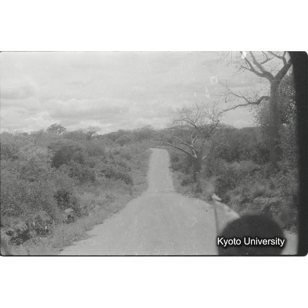 [22コマ目]「公園の中の道」 (1)