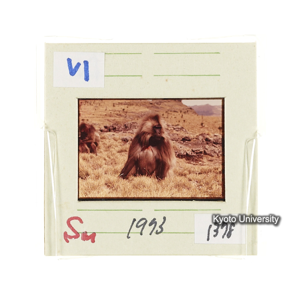 Sm　1973　1377 (2)