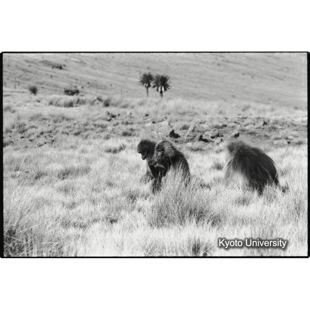 [４コマ目]「休息」 (1)