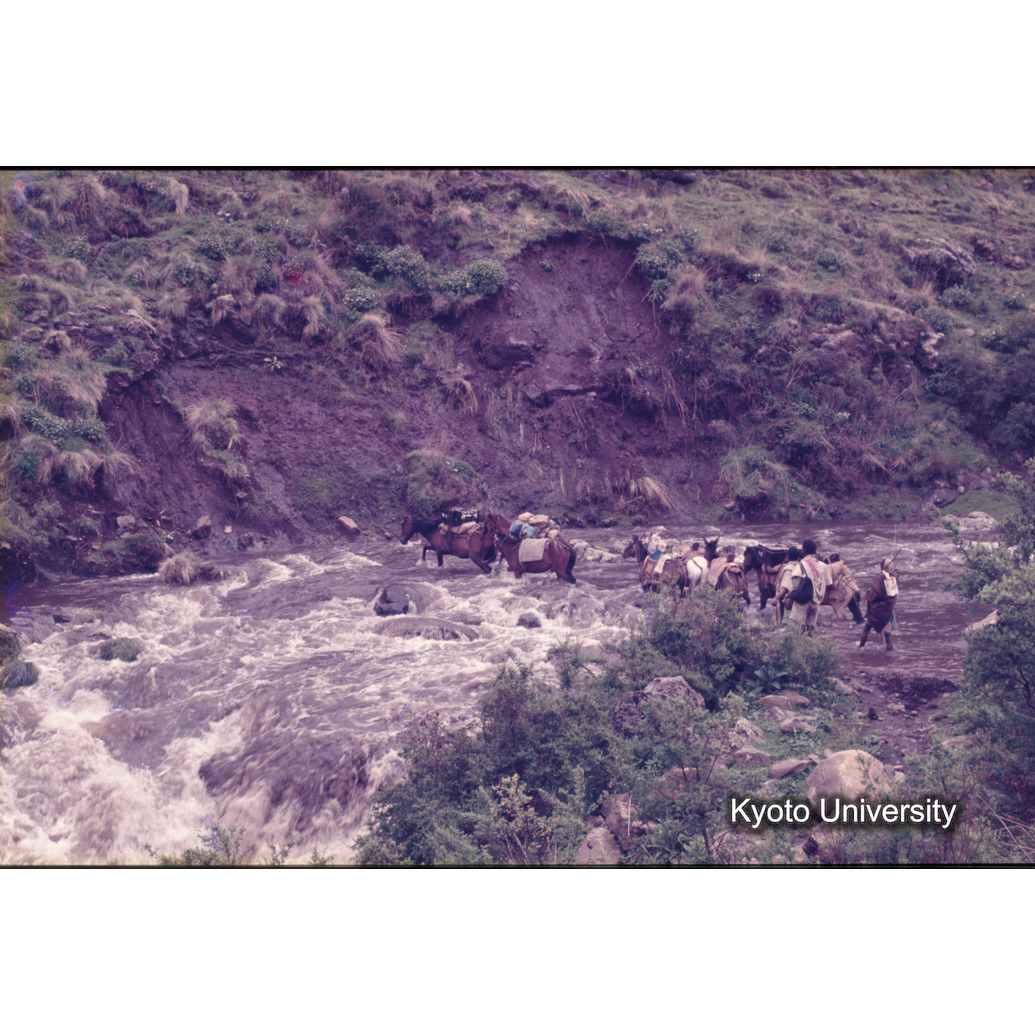 Sm　1973　R50　●[赤色シール] (1)