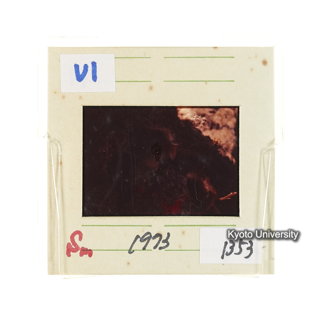 Sm　1973　1353 (2)