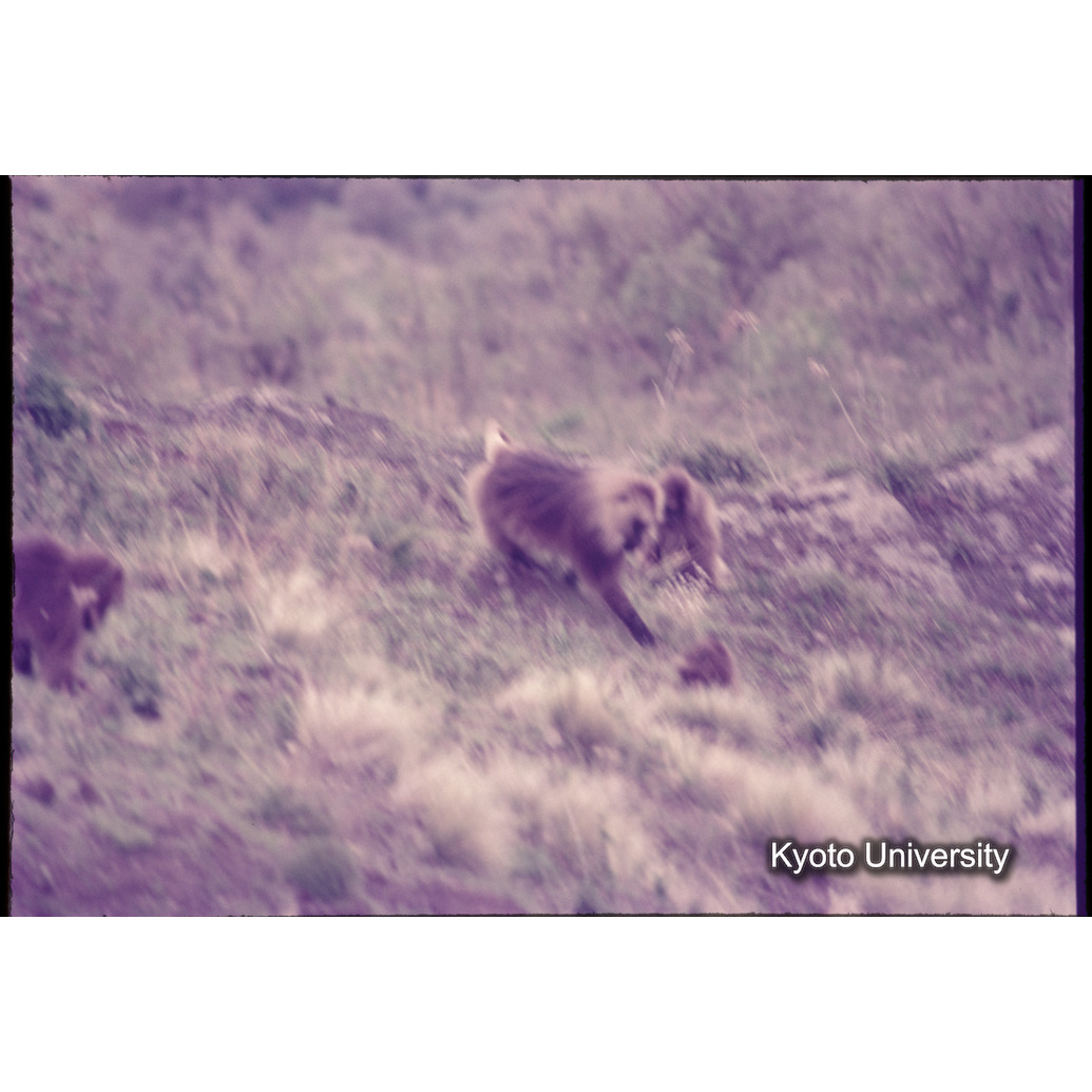 Sm　1973　1302 (1)