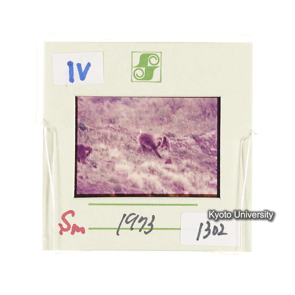 Sm　1973　1302 (2)