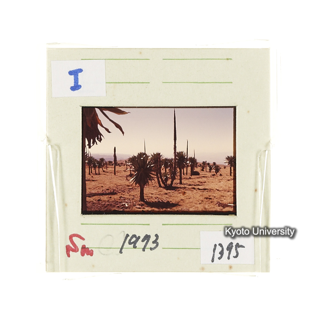 Sm　1973　1396 (2)