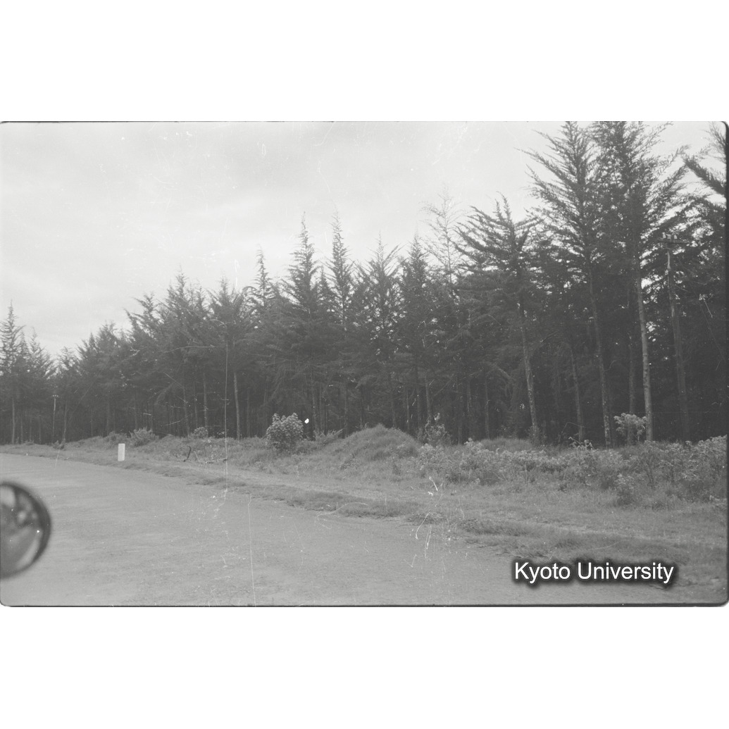 [26コマ目]「×」 (1)