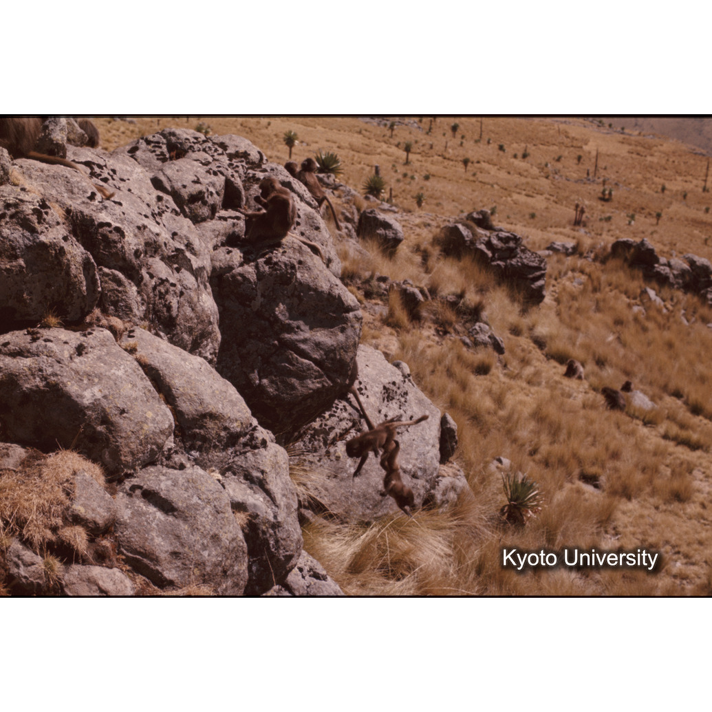 Sm　1973　1207 (1)