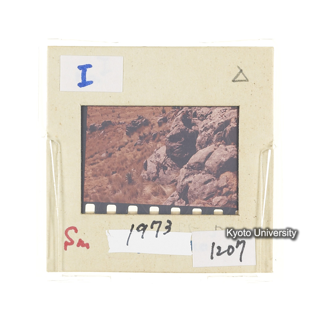 Sm　1973　1207 (2)