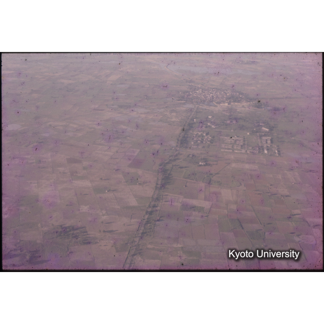 AdAb　1974　82 (1)