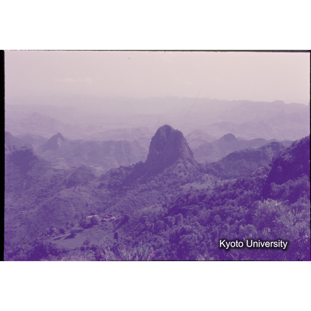 Sm　1973　1202 (1)