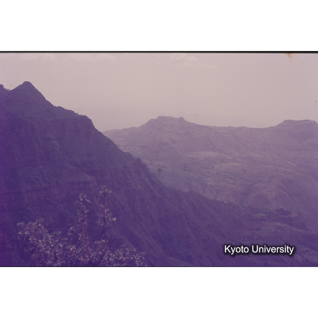 Sm　1973　1268 (1)