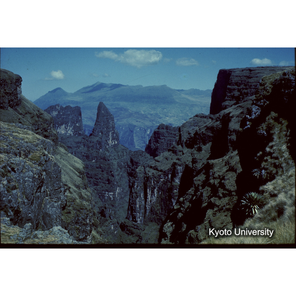 Sm　1973　1520 (1)