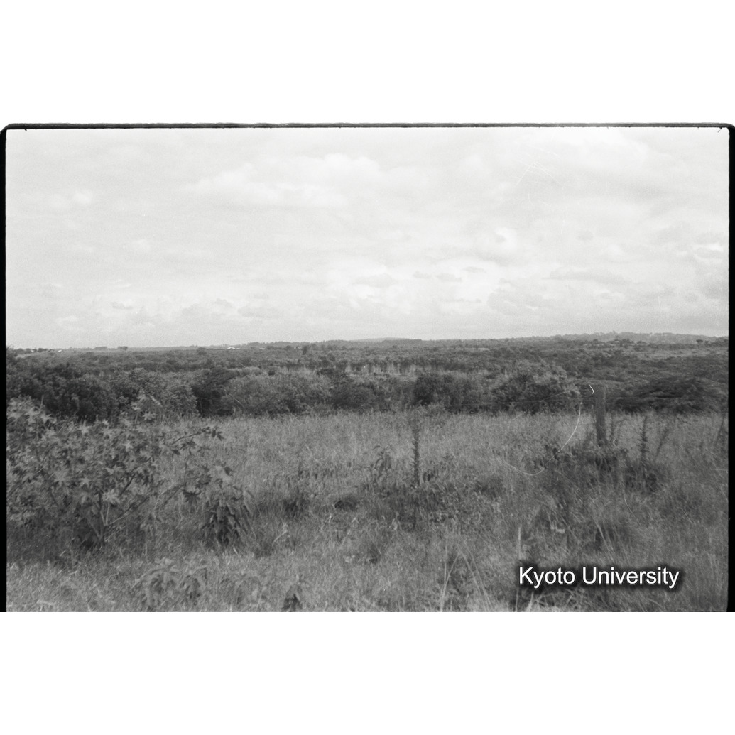 [27コマ目]「×」 (1)