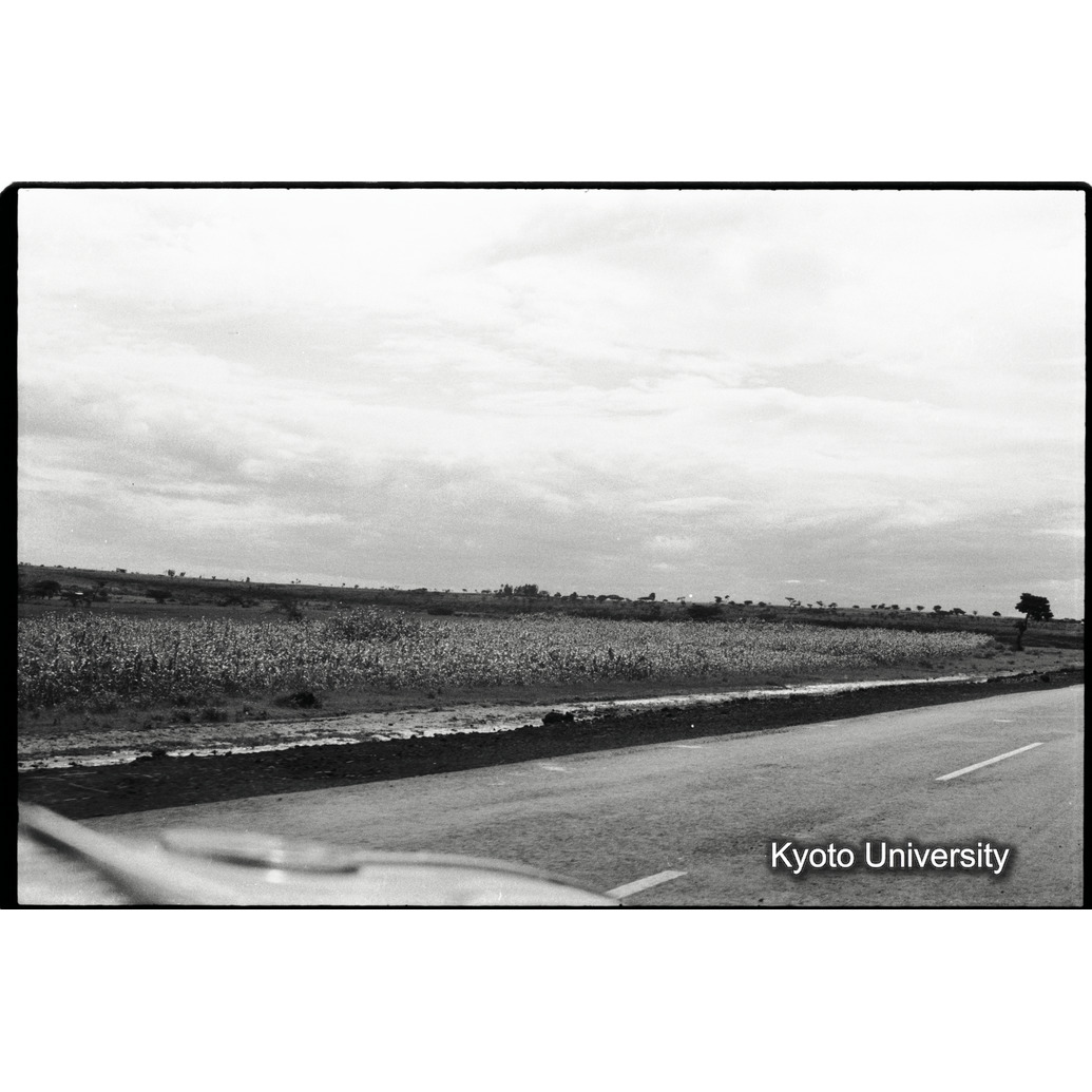 [３５コマ目]「Adis Abebaより北に向かう主道」 (1)