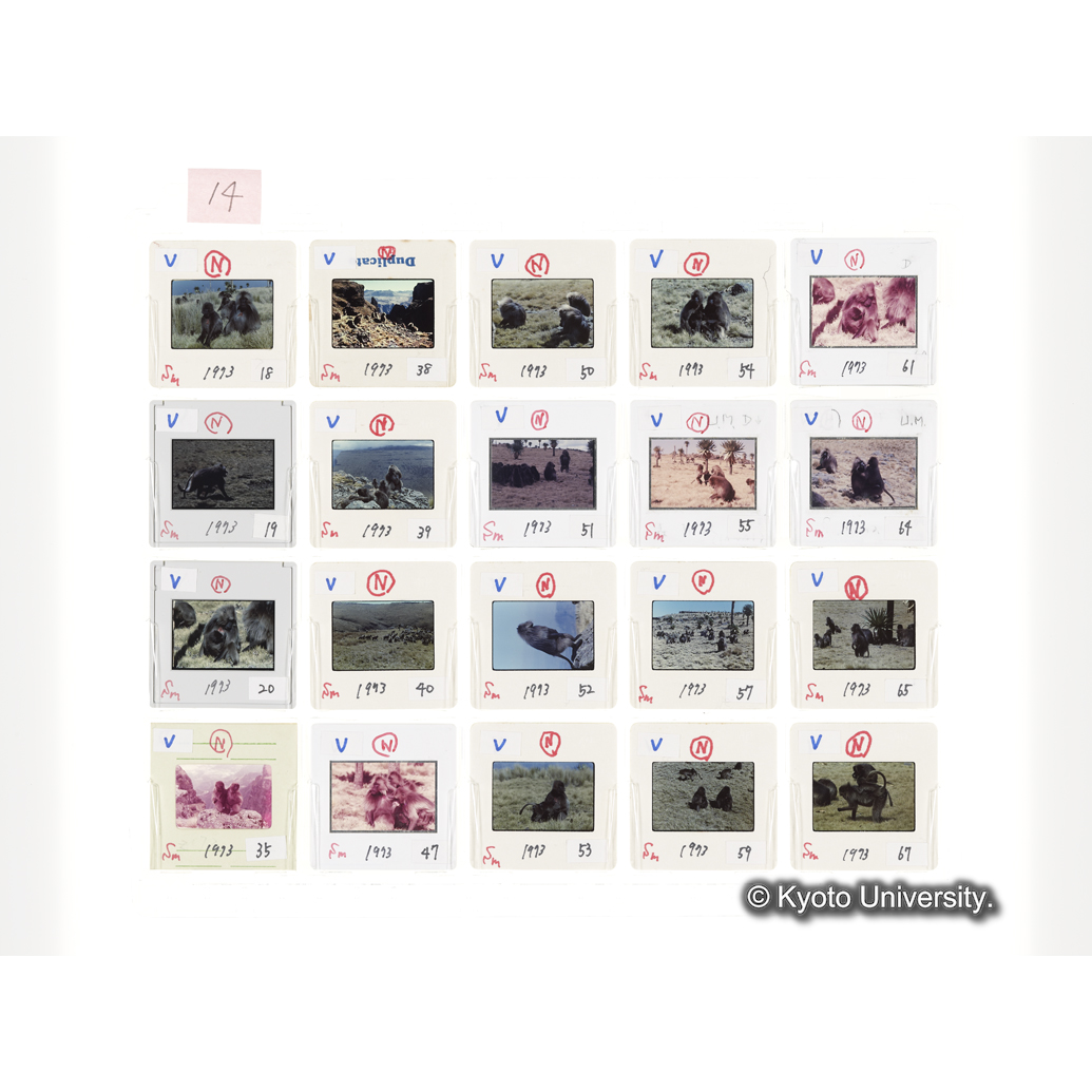 [スライドシート]14 (1)