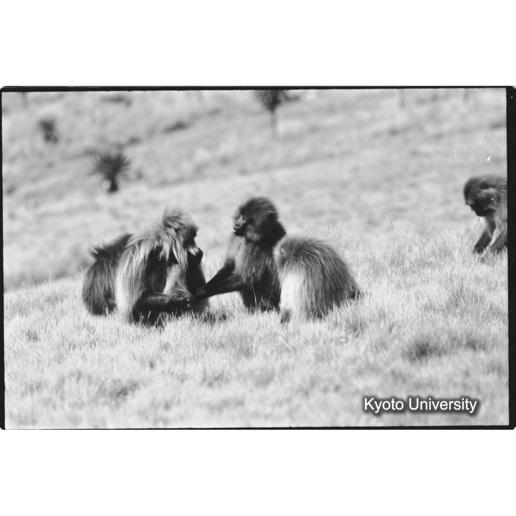 [２０コマ目]「アディスユニット（２）」 (1)