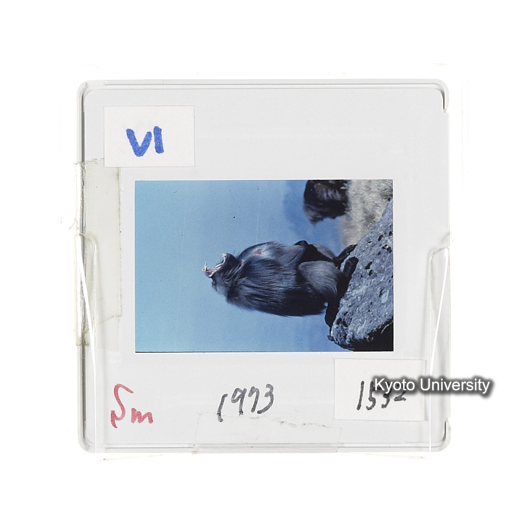 Sm　1973　1532 (2)