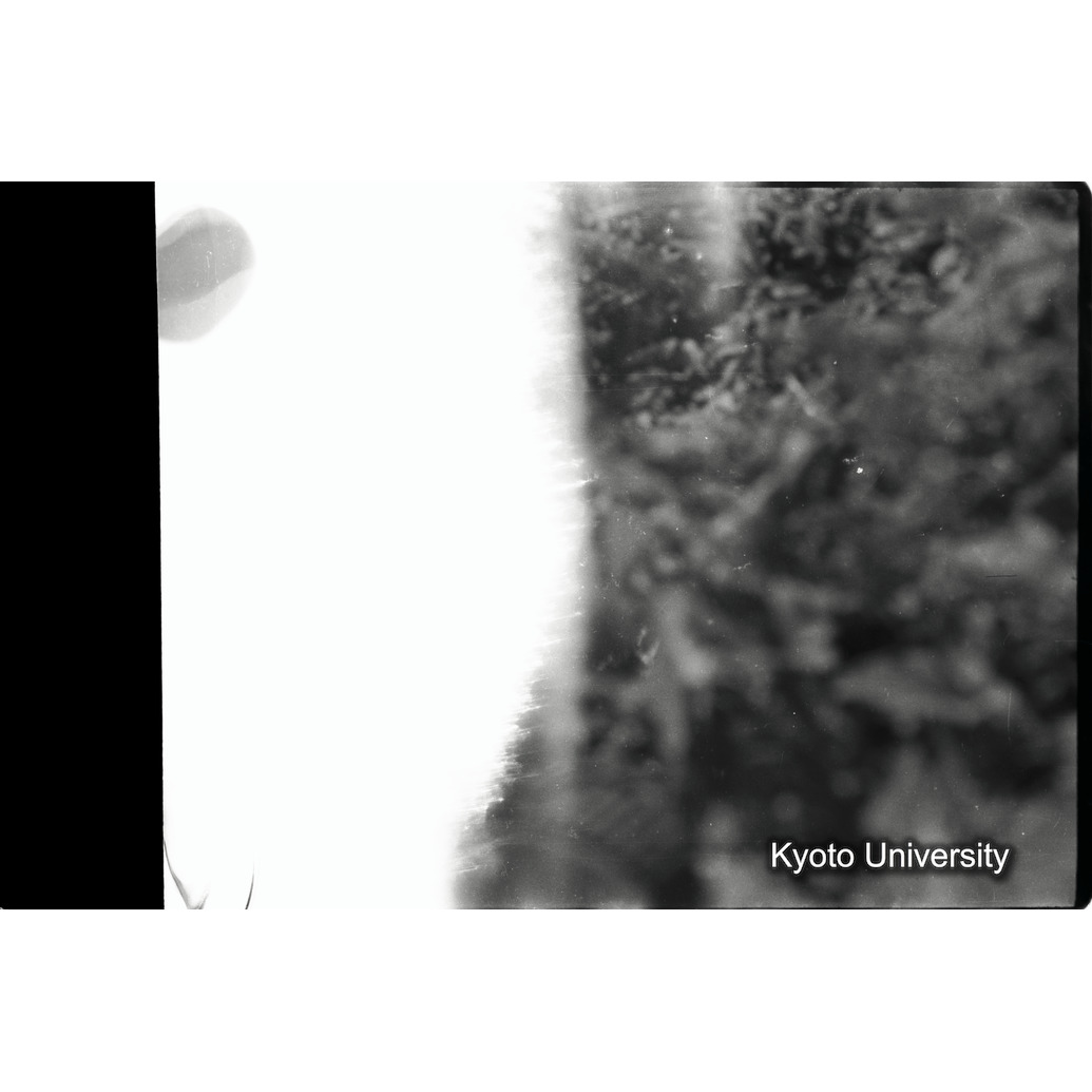 [1コマ目]「×」 (1)