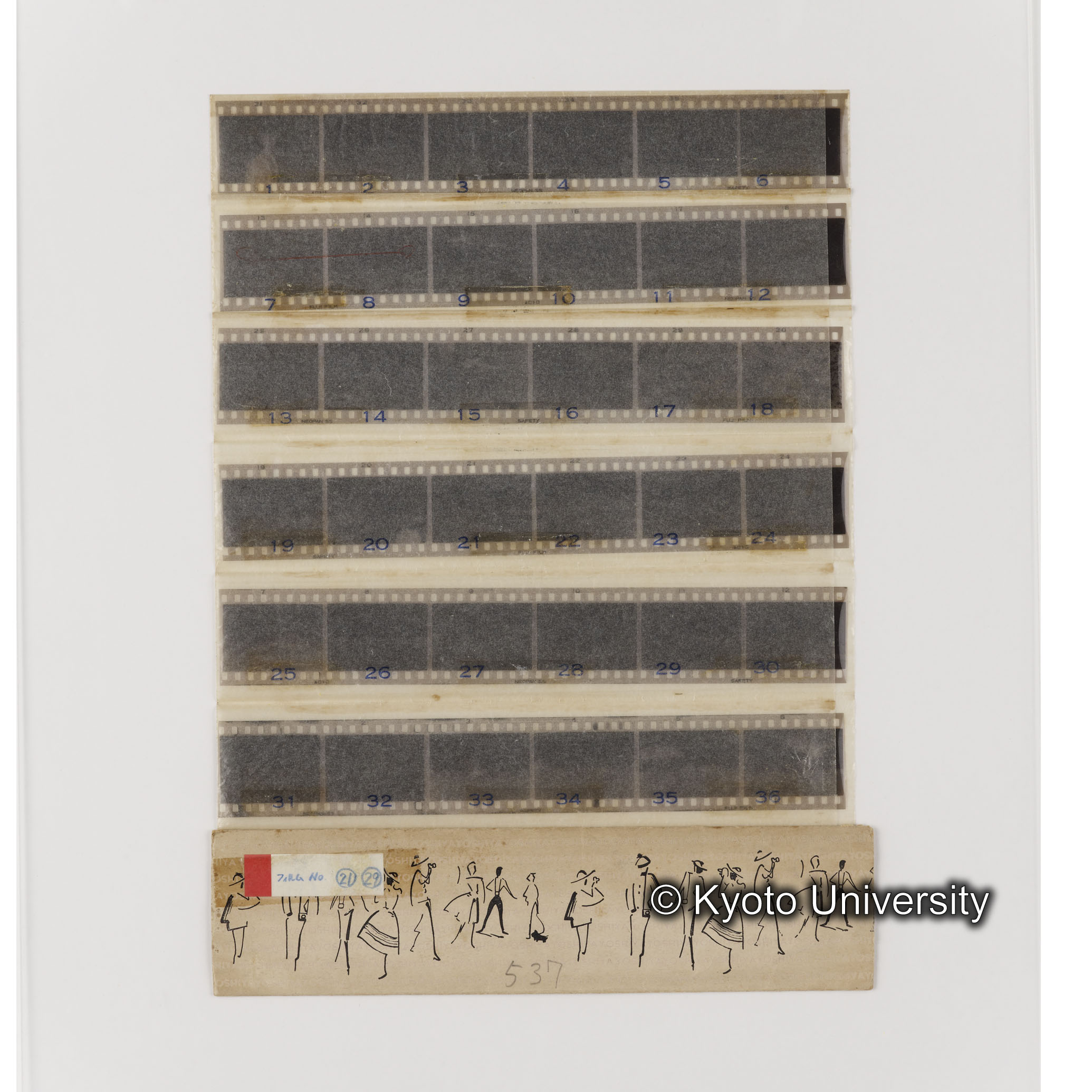 [ネガフィルムスリーブ5]「５３７」 (1)