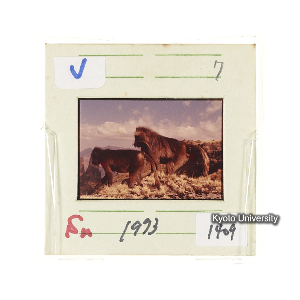 Sm　1973　1409 (2)