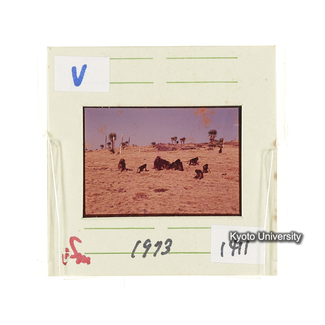 Sm　1973　1411 (2)