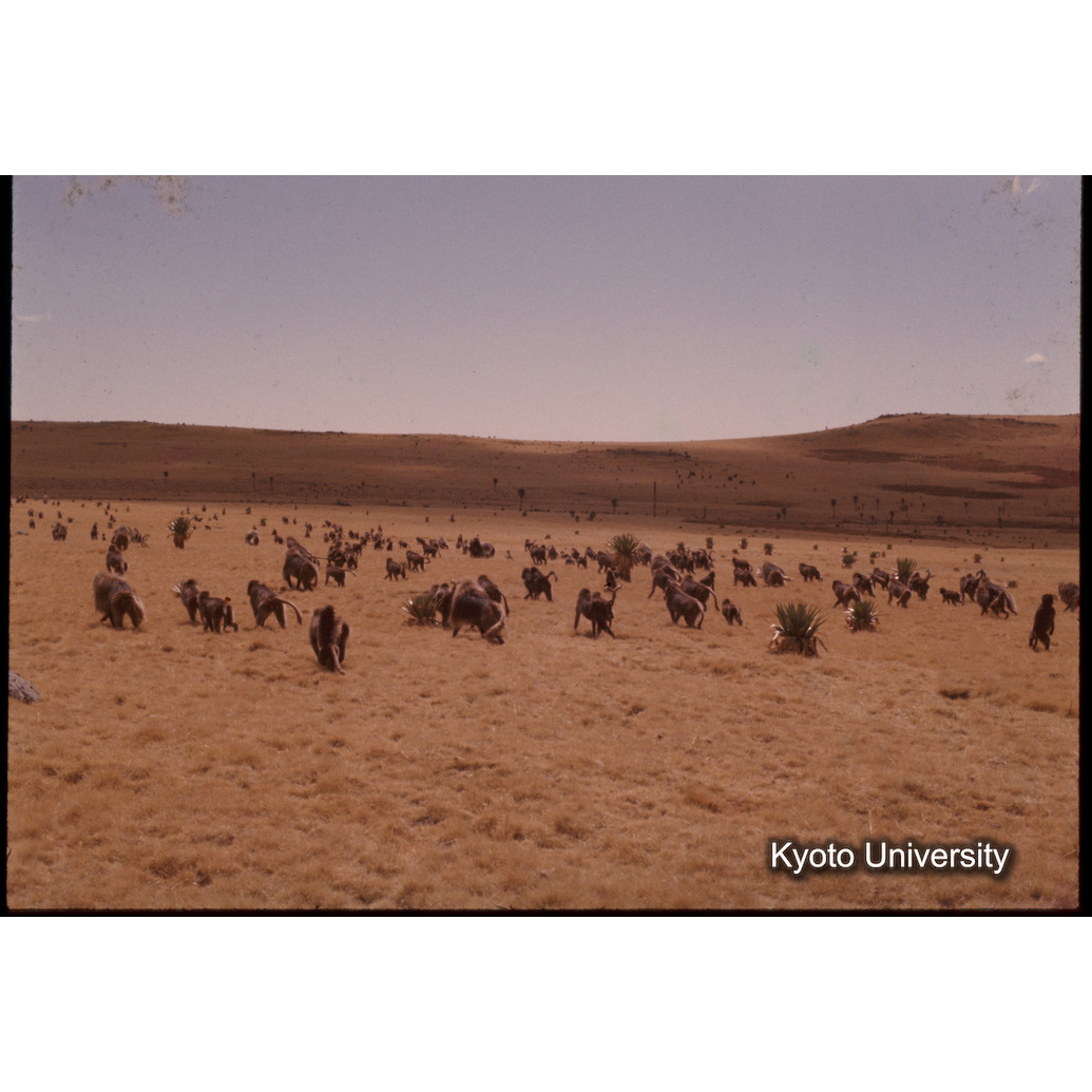 Sm　1973　1412 (1)