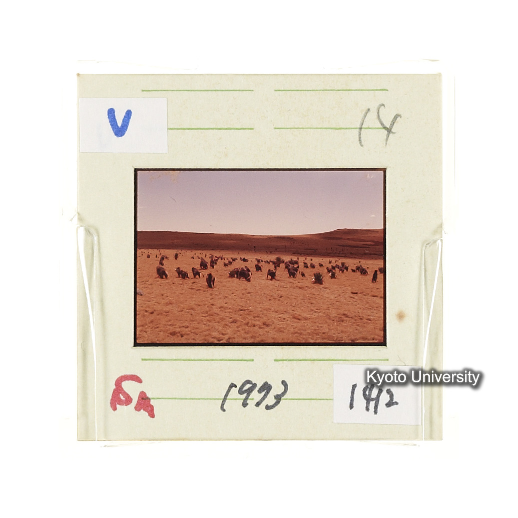 Sm　1973　1412 (2)