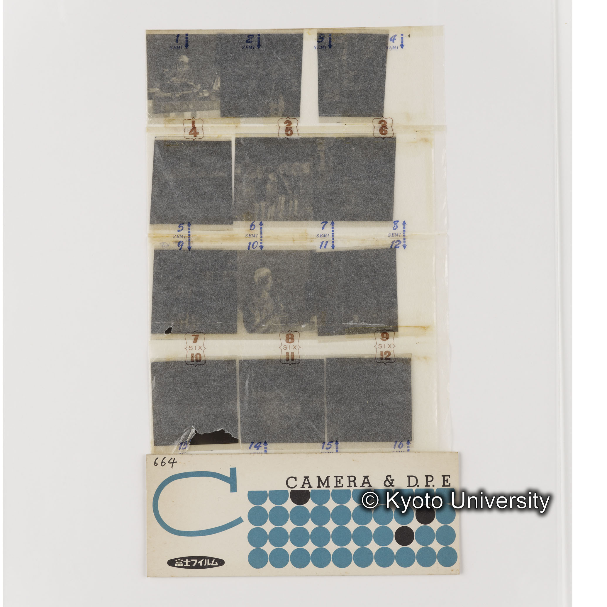 [ネガフィルムスリーブ43]「６６４」 (1)