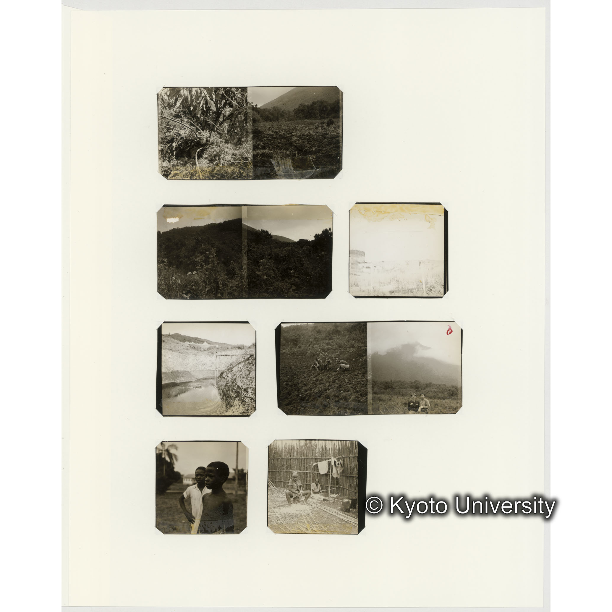 [ネガフィルムスリーブ44]「６６５」 (2)