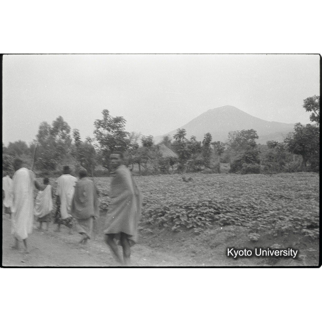 [２３コマ目]「カフジ山（１）」 (1)