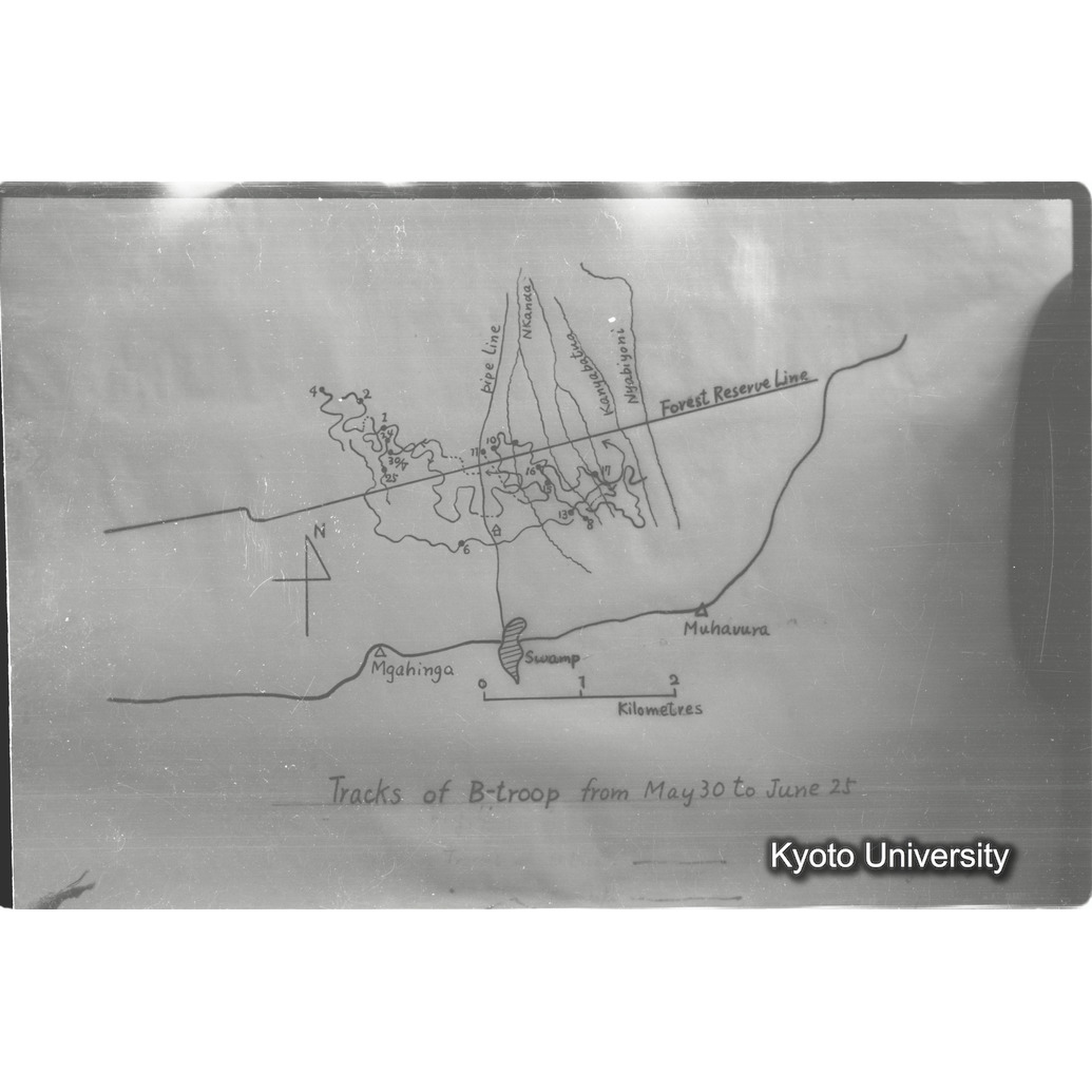 [１コマ目]「資料のまとめ（成果）」 (1)