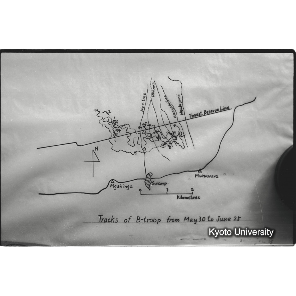 [３コマ目]「資料のまとめ（成果）」 (1)