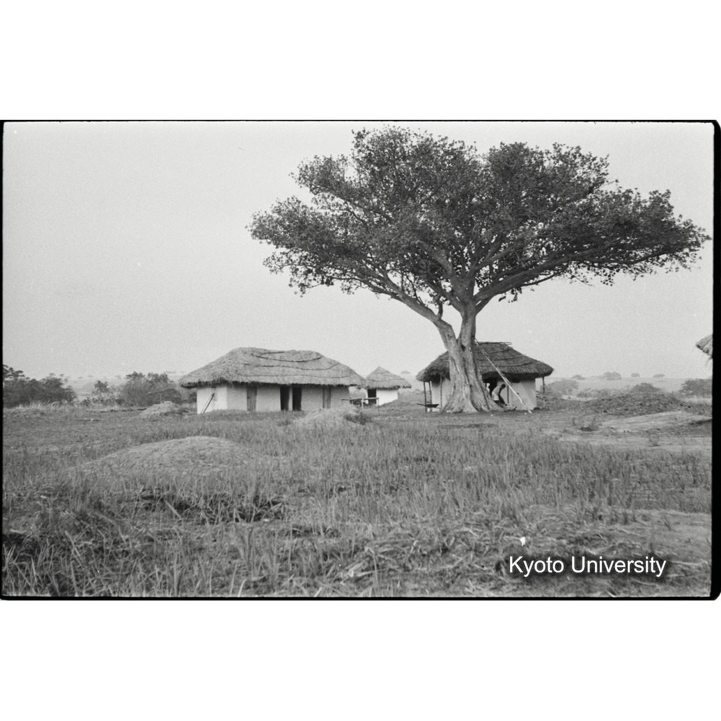 [１６コマ目]「ブワンビラキャンプ」 (1)