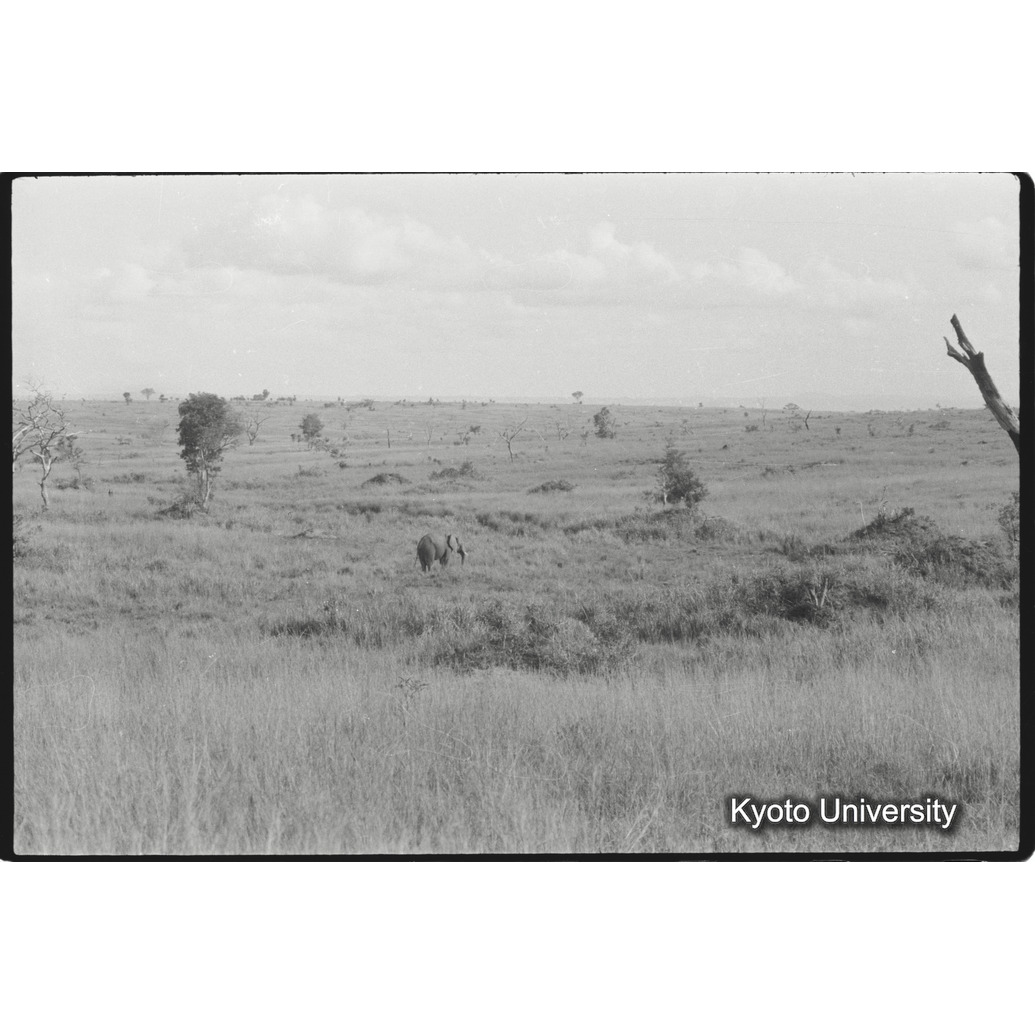 [１４コマ目]「×」 (1)