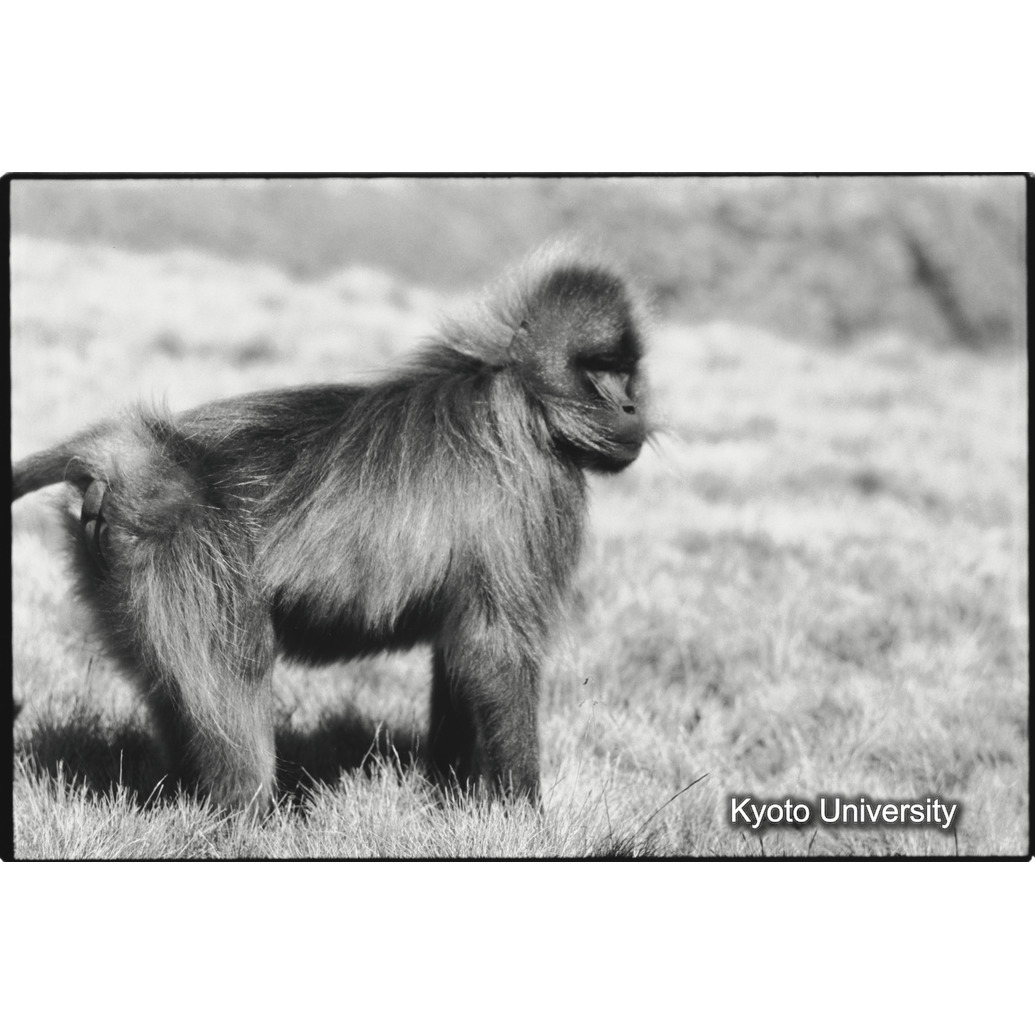 [３３コマ目]「風に吹かれて」 (1)